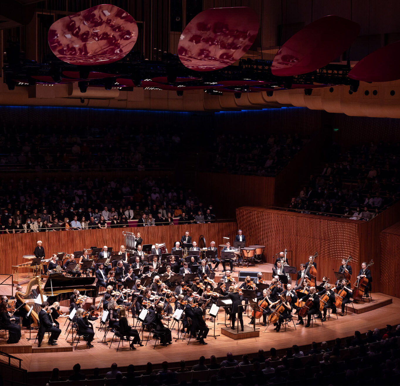 Meet the Music Sydney Symphony Orchestra